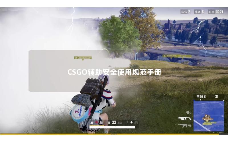 CSGO辅助安全使用规范手册