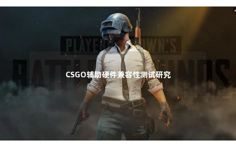 CSGO辅助硬件兼容性测试研究