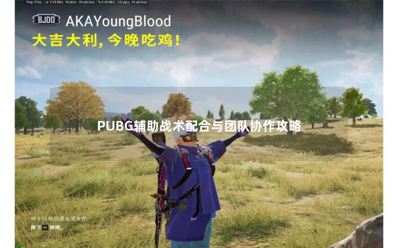 PUBG辅助战术配合与团队协作攻略