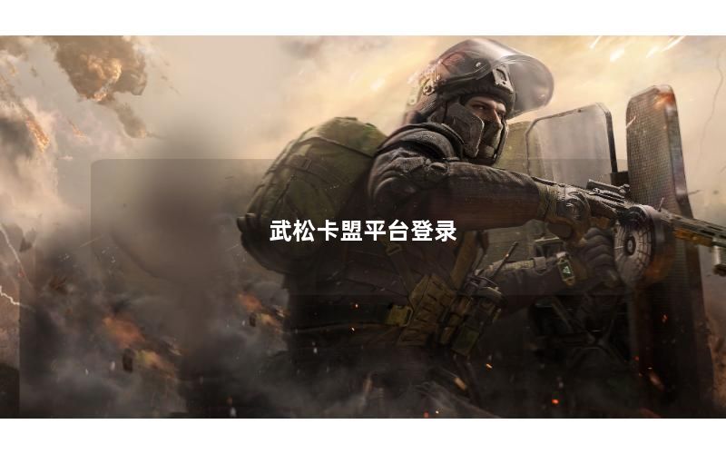 武松卡盟平台登录