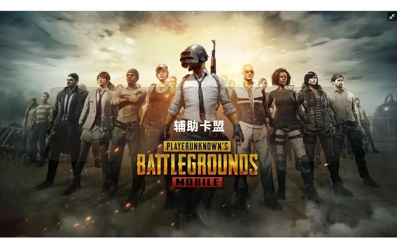 辅助卡盟