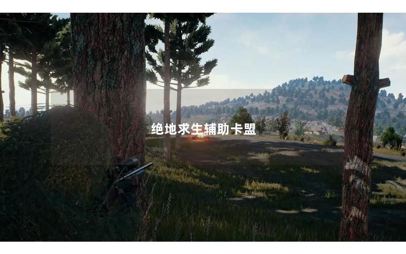 绝地求生辅助卡盟