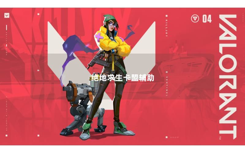 绝地求生卡盟辅助