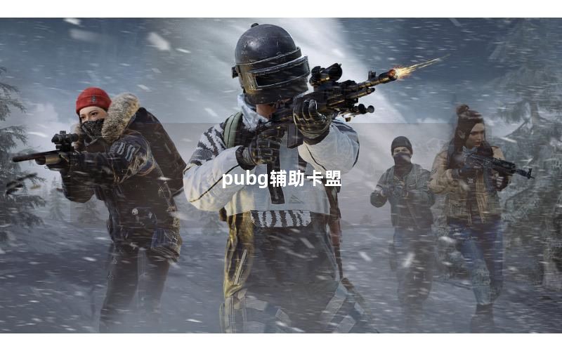 pubg辅助卡盟