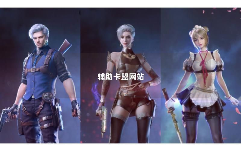 辅助卡盟网站