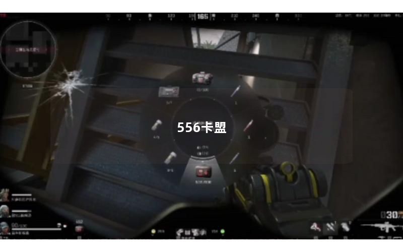 556卡盟