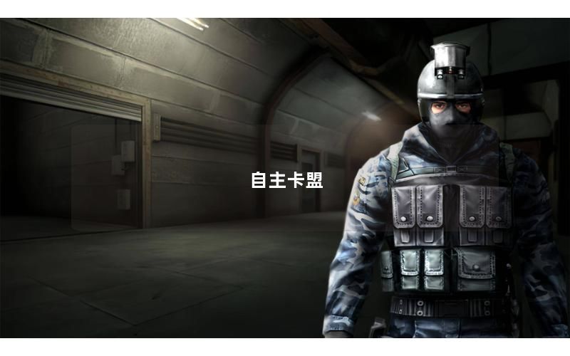 自主卡盟