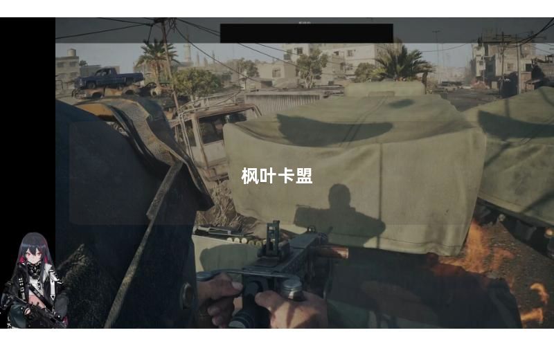 枫叶卡盟