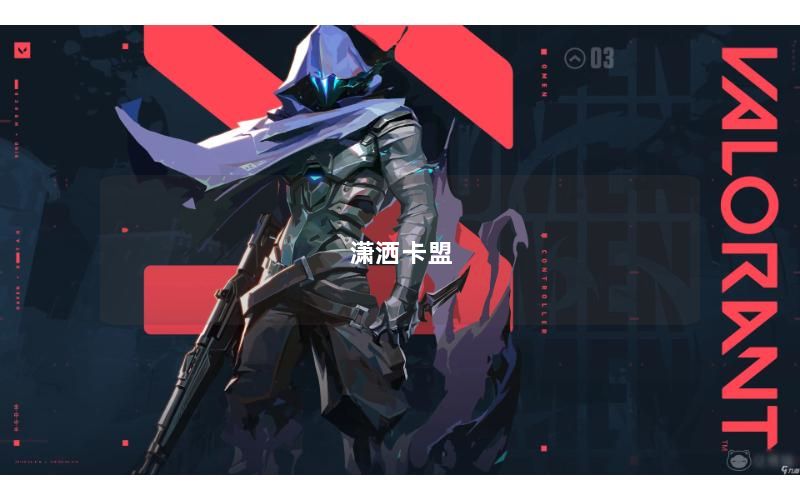 潇洒卡盟