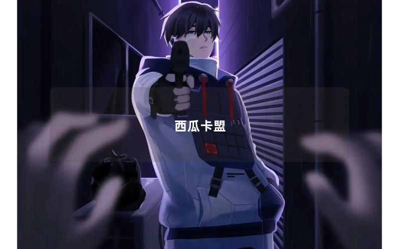西瓜卡盟