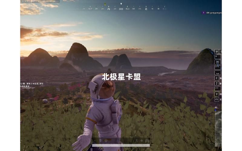 北极星卡盟