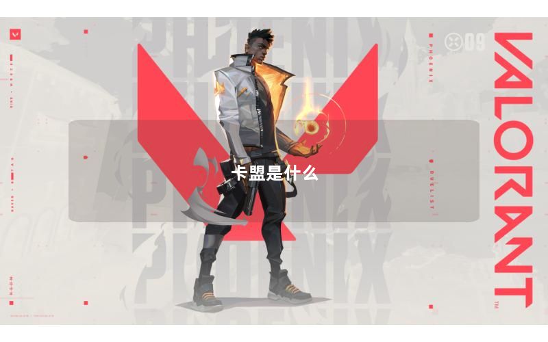 卡盟是什么