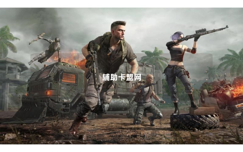 辅助卡盟网