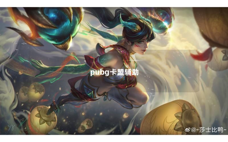 pubg卡盟辅助