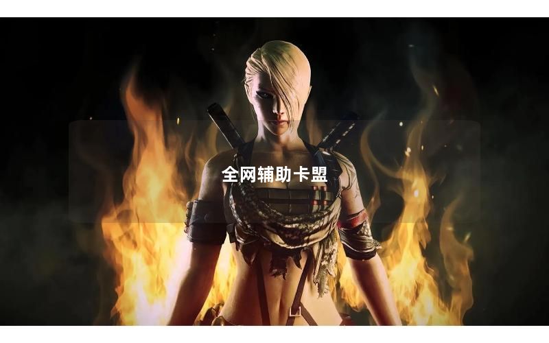 全网辅助卡盟