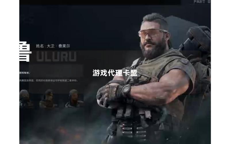 游戏代理卡盟