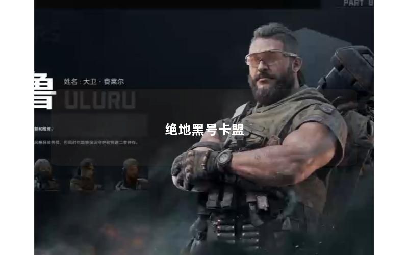 绝地黑号卡盟