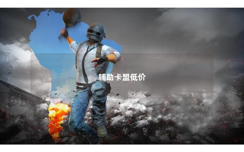 辅助卡盟低价