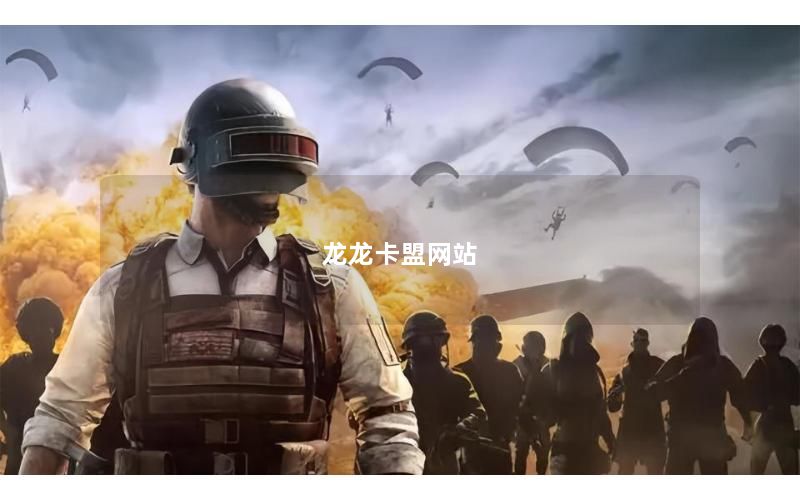龙龙卡盟网站