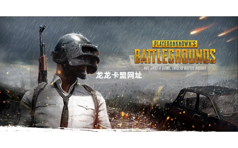 龙龙卡盟网址