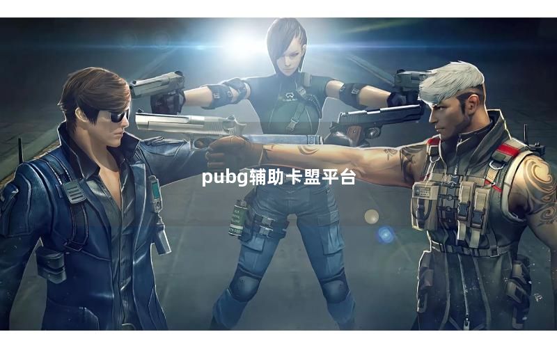 pubg辅助卡盟平台