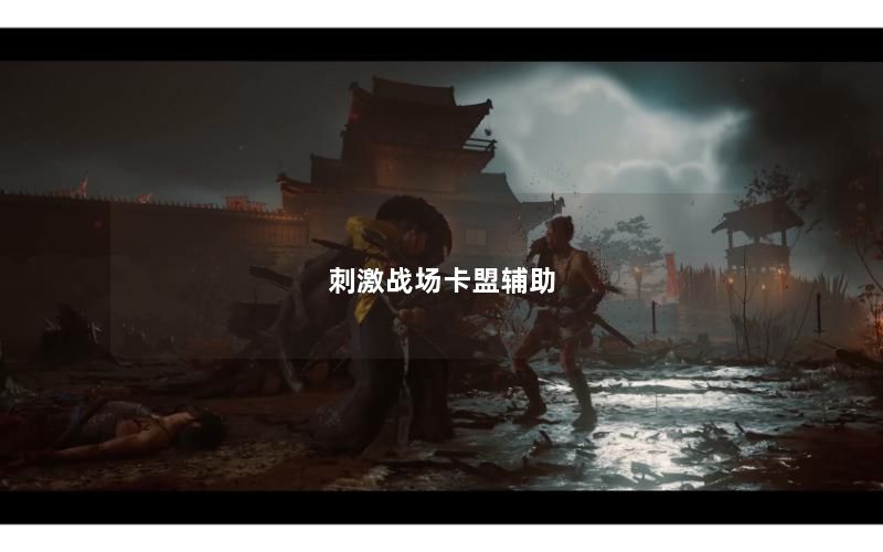 刺激战场卡盟辅助