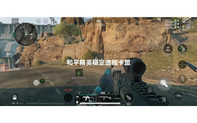 和平精英稳定透视卡盟