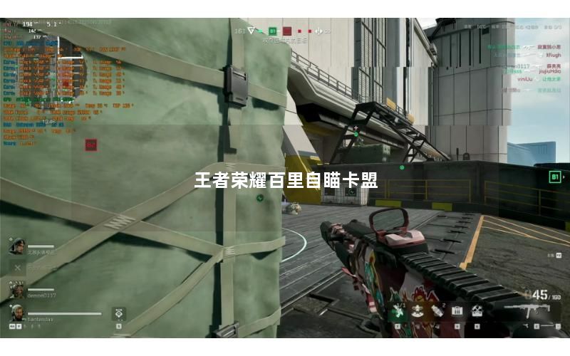 王者荣耀百里自瞄卡盟