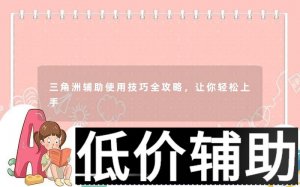 <b>三角洲辅助使用技巧全攻略：从入门到精通</b>