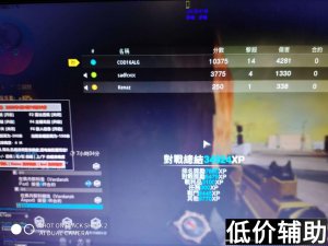 Cod16海日天辅助：内存自瞄精准射击 枪枪致命制霸战场