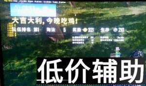 绝地求生安妮辅助使用指南：无边框模式设置与