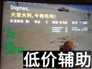 绝地求生艾斯辅助：大吉大利艾斯稳吃鸡