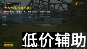 绝地求生辅助Admin镇魂师专业团队 内部精心开发稳定辅助
