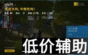 绝地求生辅助至尊宝顶尖水平 内部驱动顶级内核引擎实力打造
