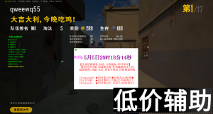 绝地求生千寻内部辅助 大号白号主播专用定制版