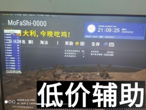 绝地求生魔法师辅助内部稳定版 低价吃鸡外挂实测效果