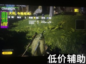 绝地求生雷神辅助无视大小更新白号稳定使用