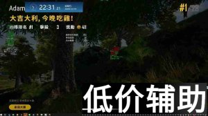 绝地求生Adam辅助：提升游戏体验的终极指南