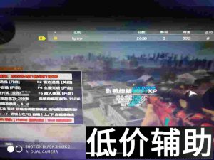 <b>COD16海日天辅助：内存自瞄抢抢到肉虐杀小朋友实战解析</b>