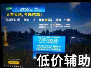 绝地求生药王谷辅助工具下载与使用教程