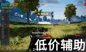 绝地求生天行者正版辅助下载与使用教程