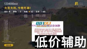 绝地求生炎天辅助：稳定可用即开即用 最新版本