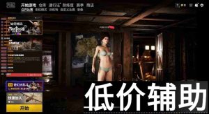 绝地求生辅助大蛇丸：外挂功能解析与实战评测