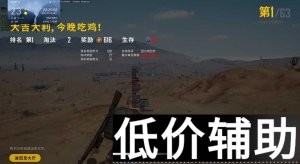 绝地求生大世界辅助稳定支持全系统-安全高效畅玩