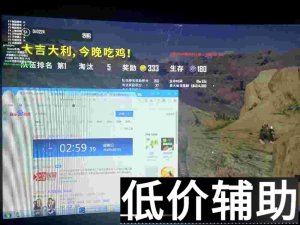 绝地求生Peak辅助：提升吃鸡胜率的终极指南