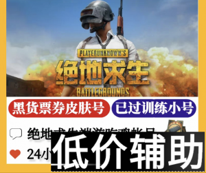 绝地求生账号交易、购买与安全指南