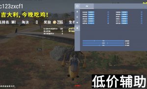 PUBG树叶辅助：提升隐蔽性的终极指南