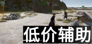 <b>绝地求生索尔辅助：提升游戏体验的终极指南</b>