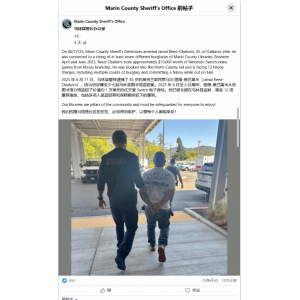 还有高手？美国一男子从图书馆盗窃1万美元Switch游戏
