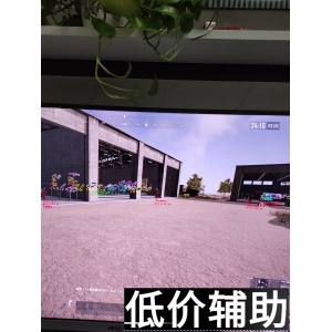 绝地求生帕加尼最强辅助设置：一键提升吃鸡胜率！